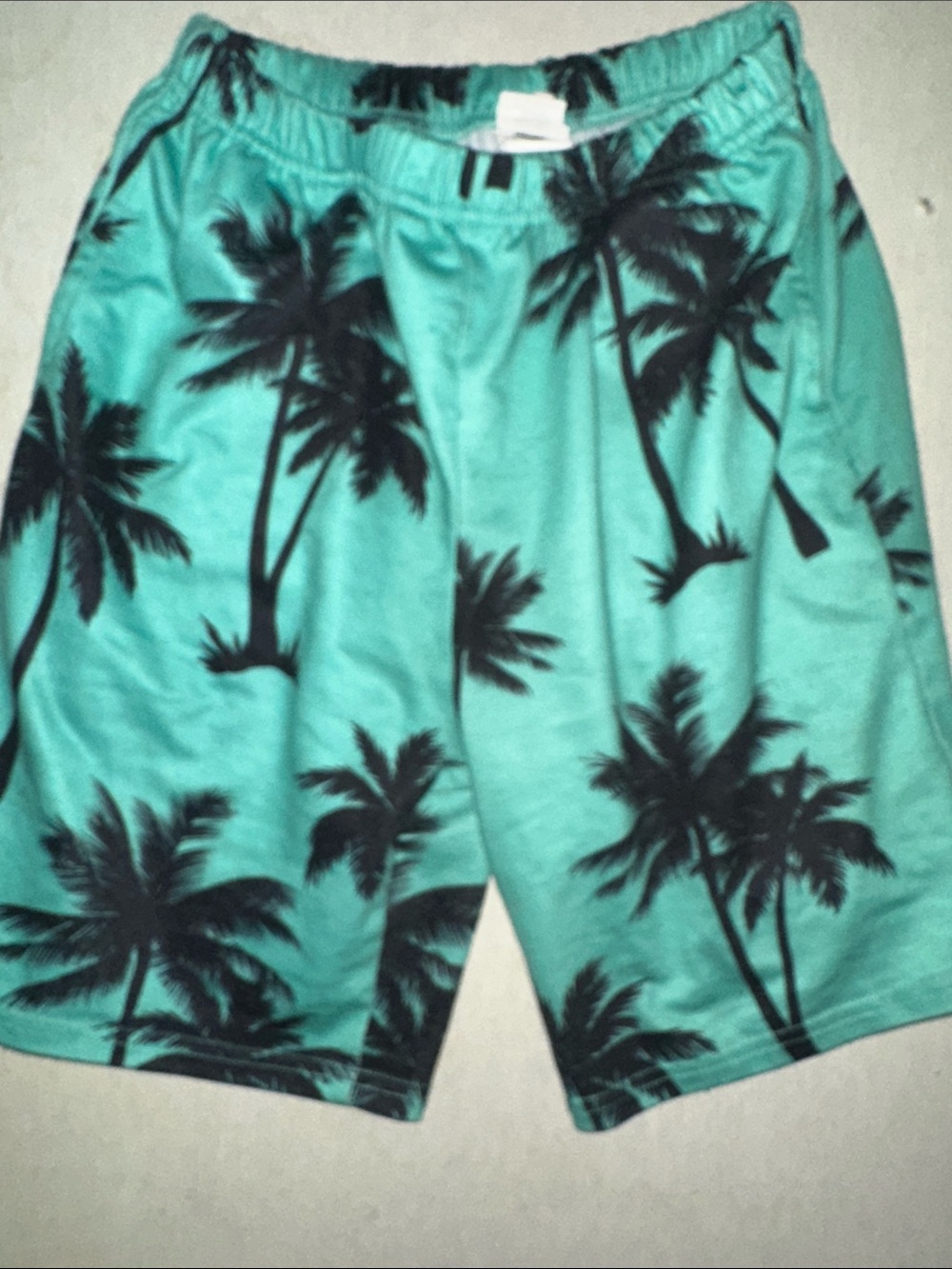 Kids Size 11-12Y SHEIN Teal Palm Print Swim Shorts - Teal